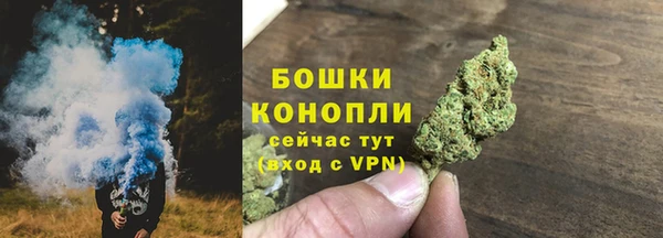 MESCALINE Аркадак