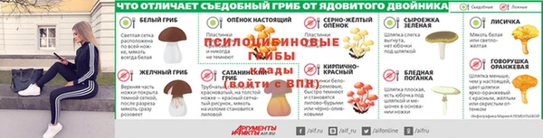 дживик Арсеньев