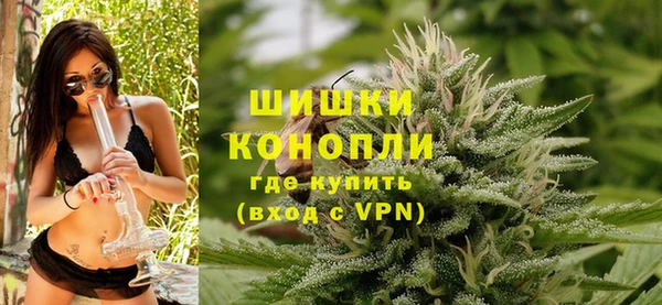 прущие грибы Армянск