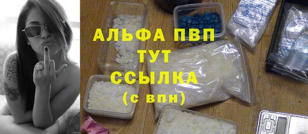 прущие грибы Армянск