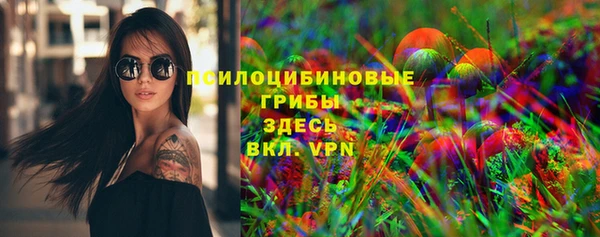 дживик Арсеньев