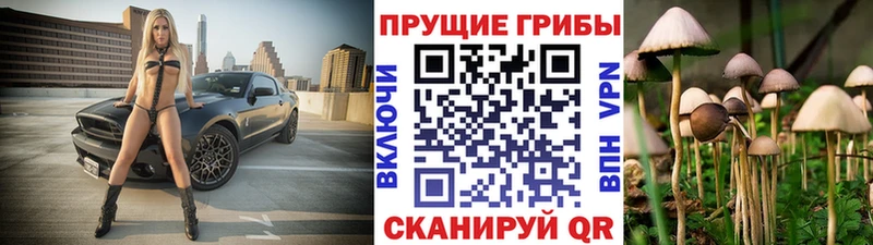 Галлюциногенные грибы MAGIC MUSHROOMS  Старая Русса 